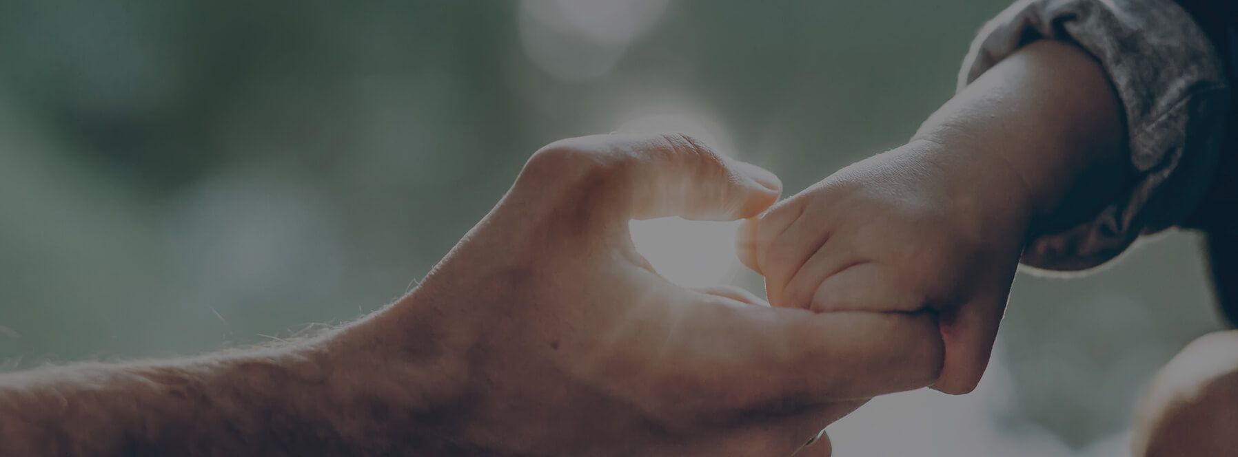an adult holding the hand of a small child